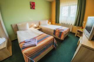 Курортные отели Apollo Wellness Club Сынджорджу-де-Муреш Двухместный номер эконом-класса с 1 кроватью или 2 отдельными кроватями, 3***-1
